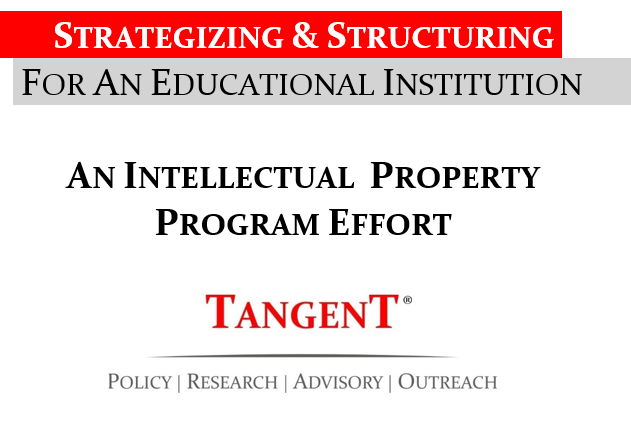 Strategizing & Structuring Intellectual Property Effort