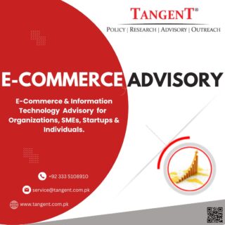 Providing E Commerce Advisory to a Startup