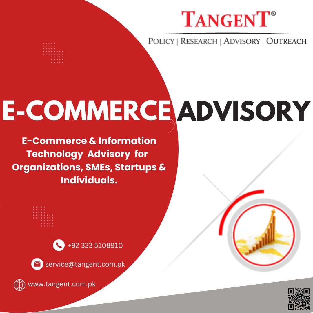 Providing E Commerce Advisory To A Startup Tangent Advisory Investment And Consulting Services